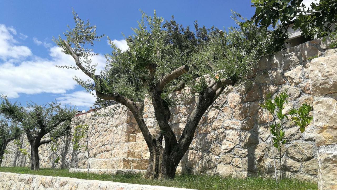 Apartmani Goga Starigrad Paklenica Extérieur photo